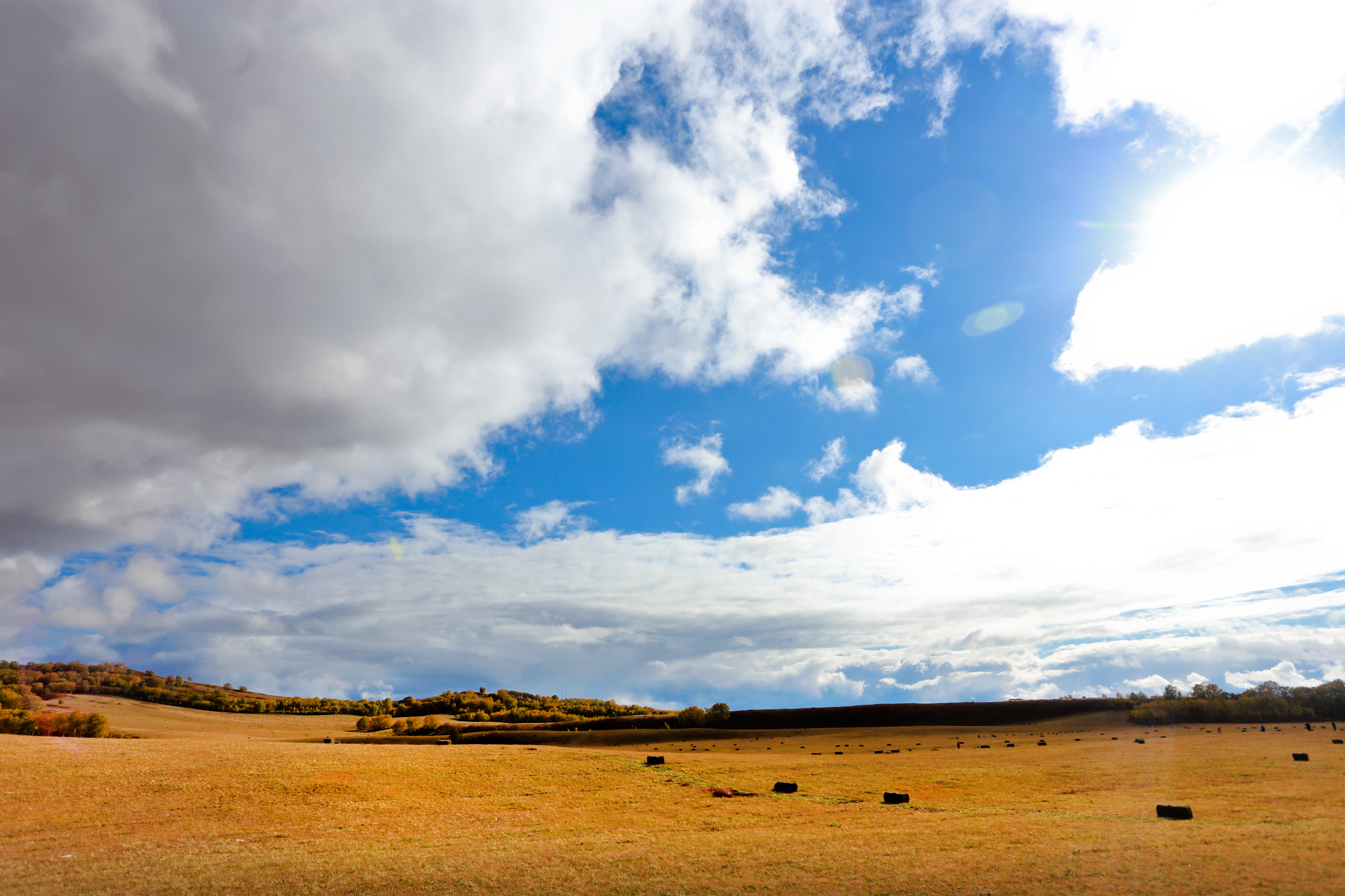 大草原,蓝天白云我的家