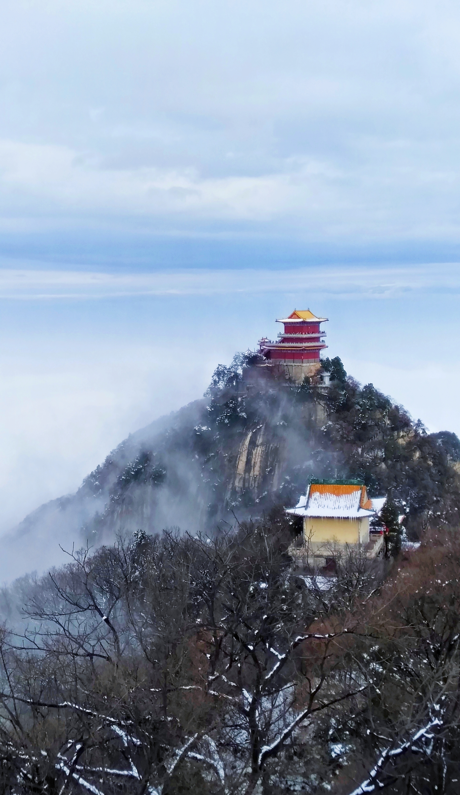 大秦岭首发