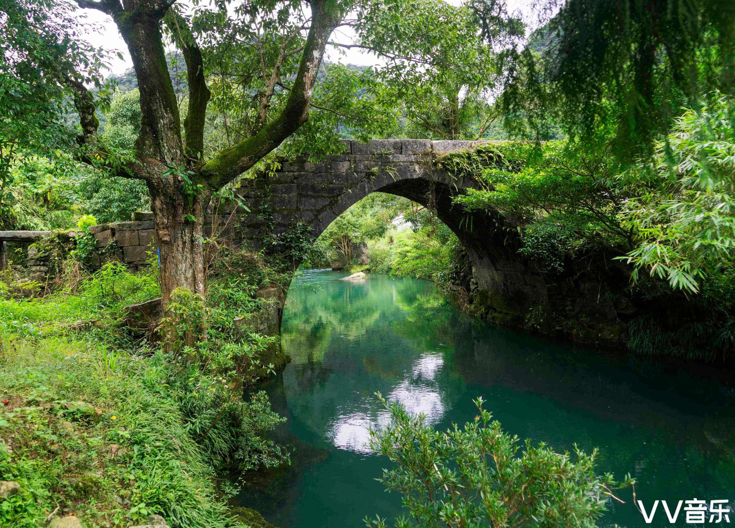 山水茂兰原生秘境