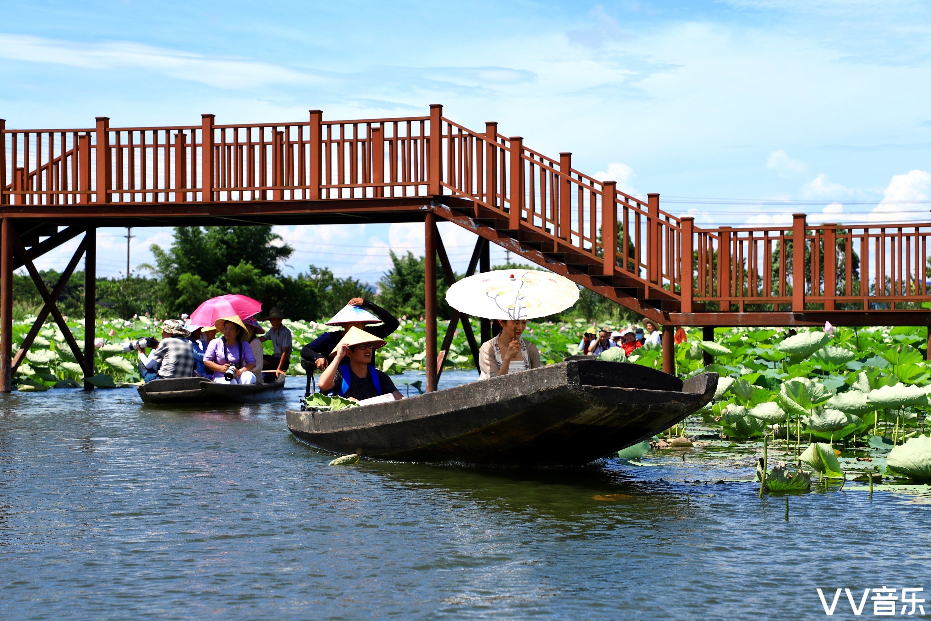 古劳水乡泛舟赏荷