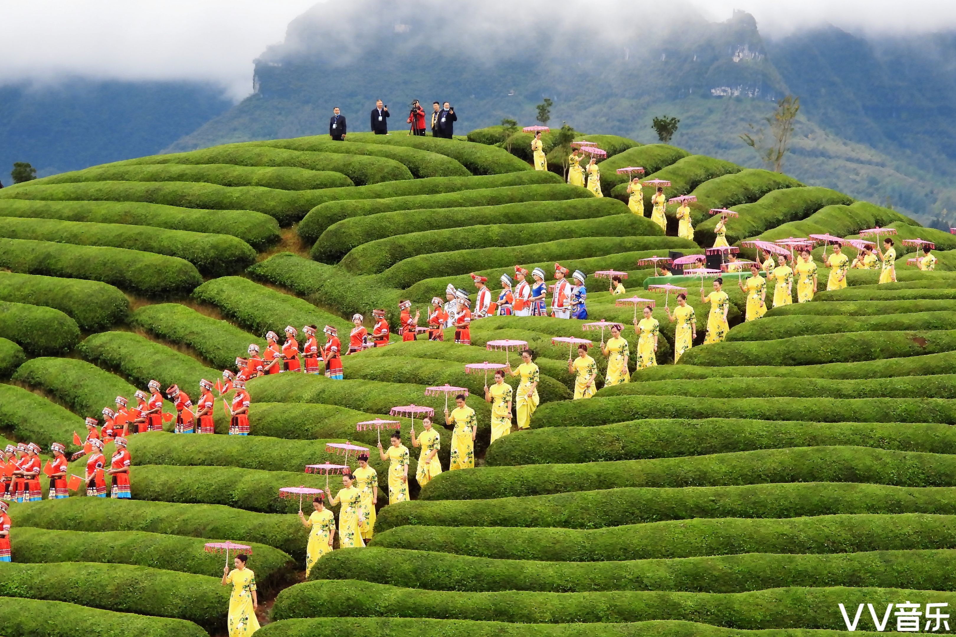 中国十大最美茶园图片