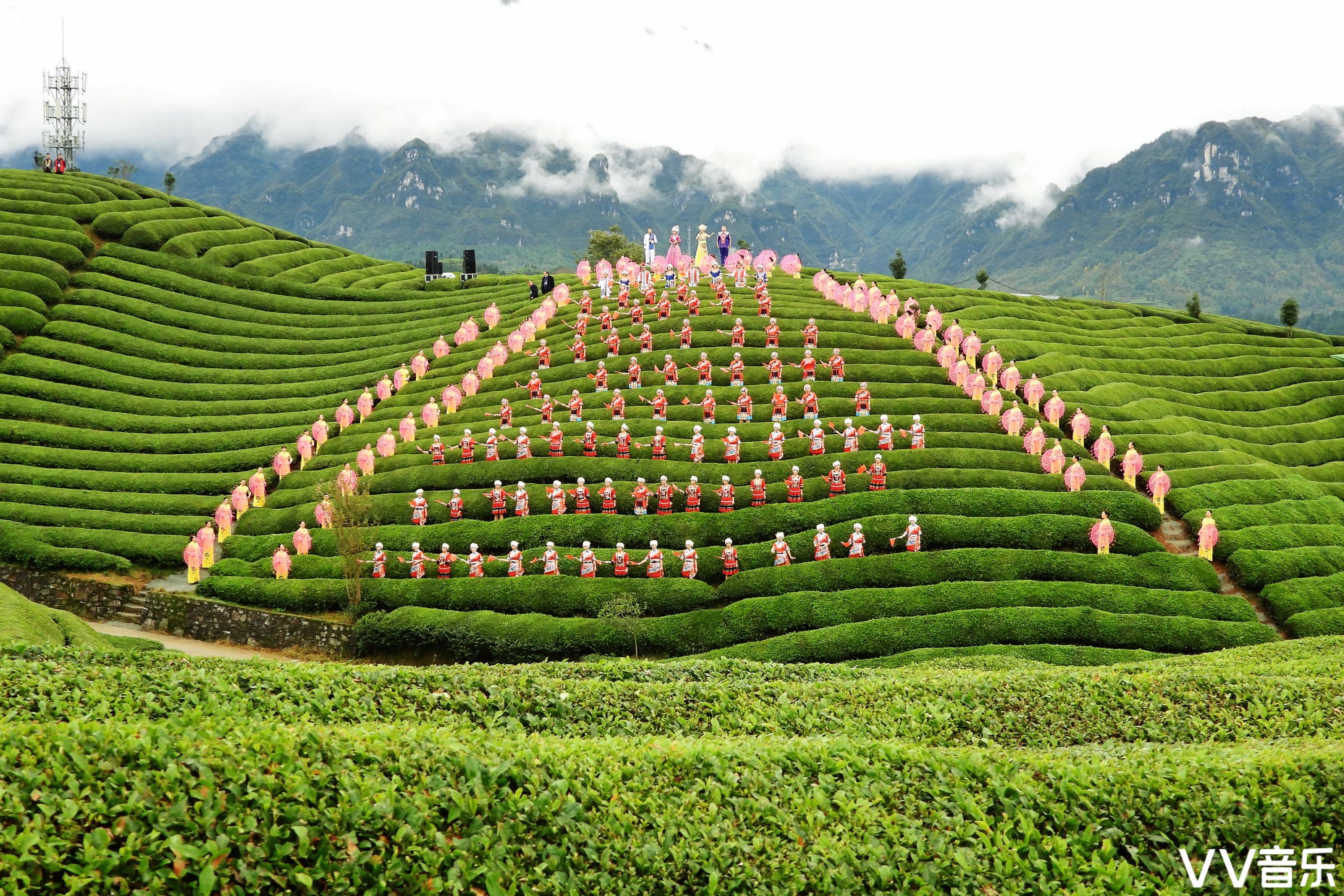 中国最美茶园图片