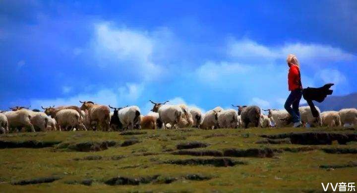 情久长61可可托海牧羊人