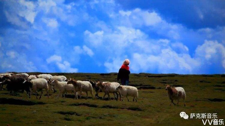 情久长61可可托海牧羊人