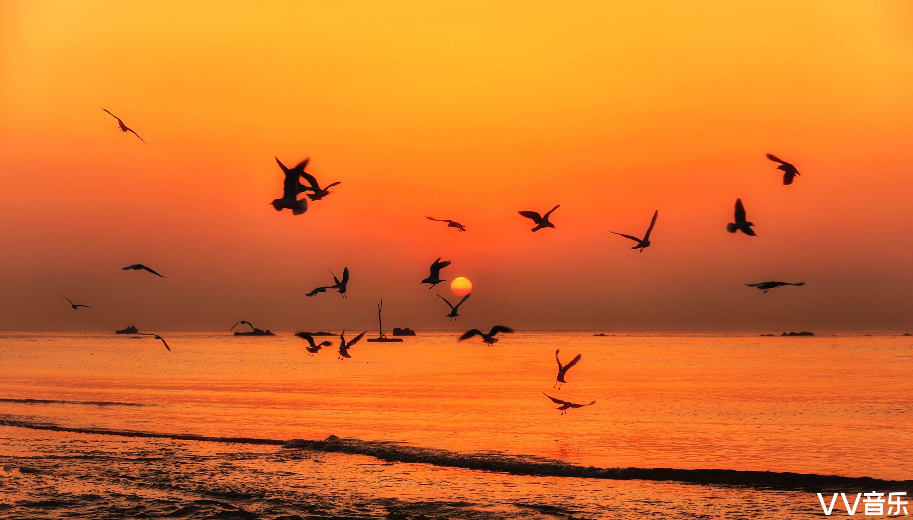 海鸥飞处彩云飞