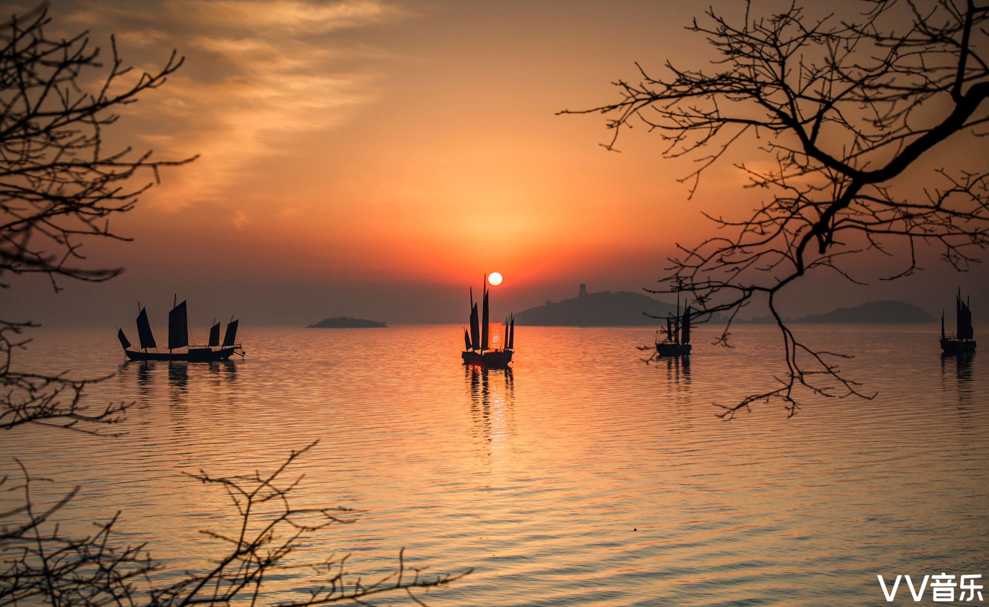 wk52dec2020唯美自然风光花鸟画意精品影展专辑