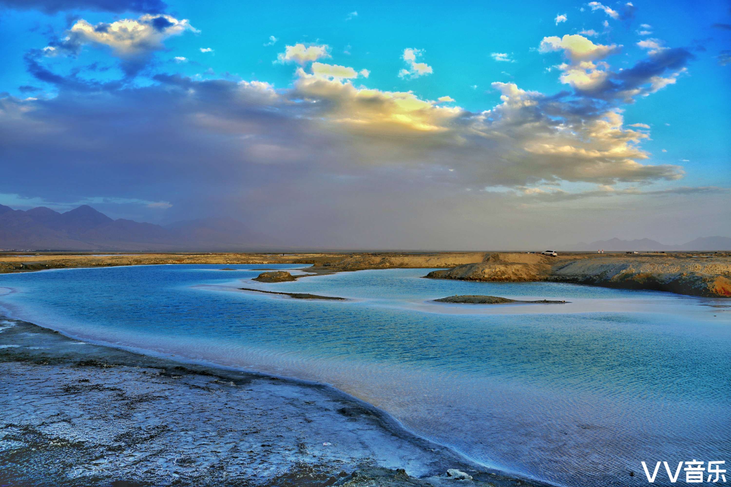 wk52dec2020唯美自然风光花鸟画意精品影展专辑