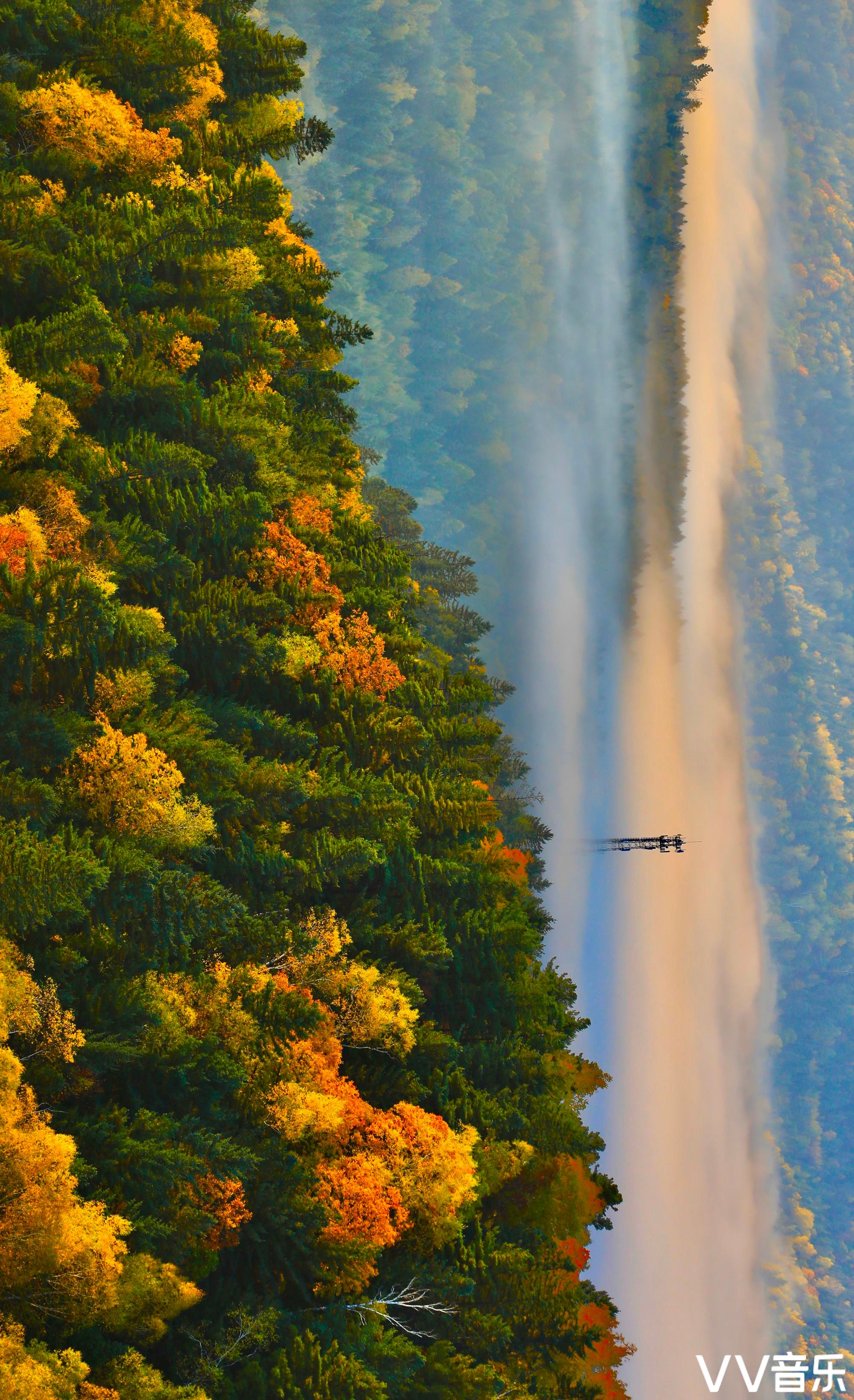 wk40,oct 2020~唯美自然风光&花鸟&画意精品影展专辑