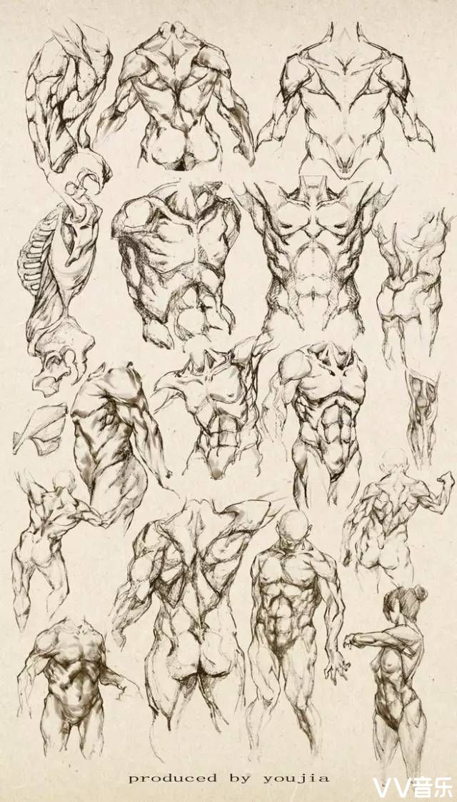 素描速写人体结构资料