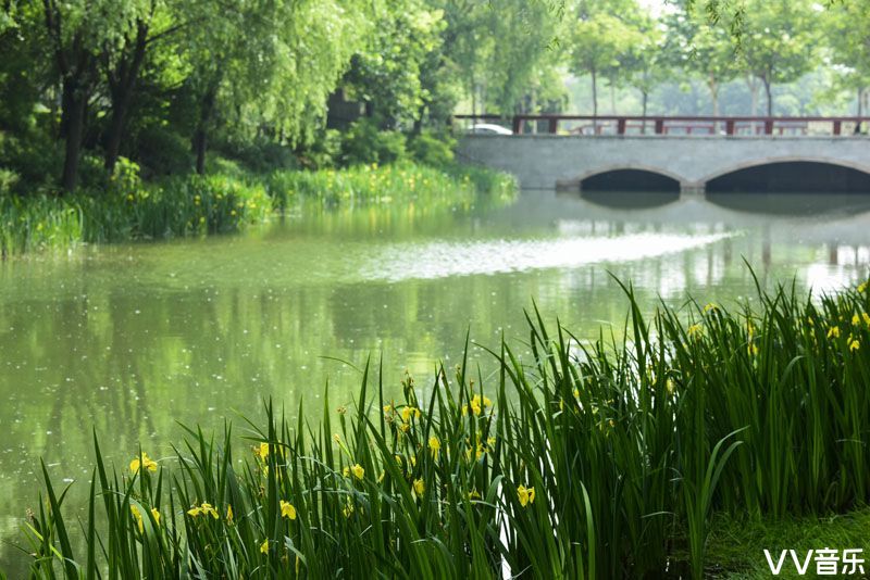 淺夏清新,綠水悠悠