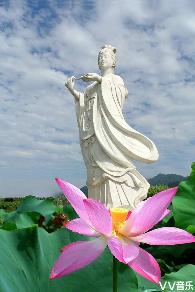 清水出芙蓉 荷香溢清幽