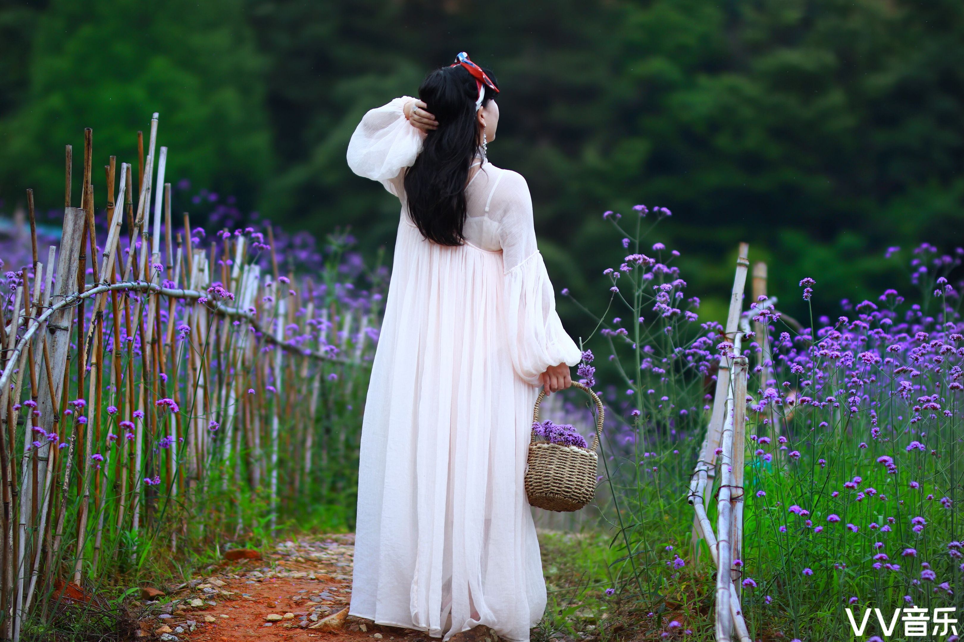 你的背影(2020年上)