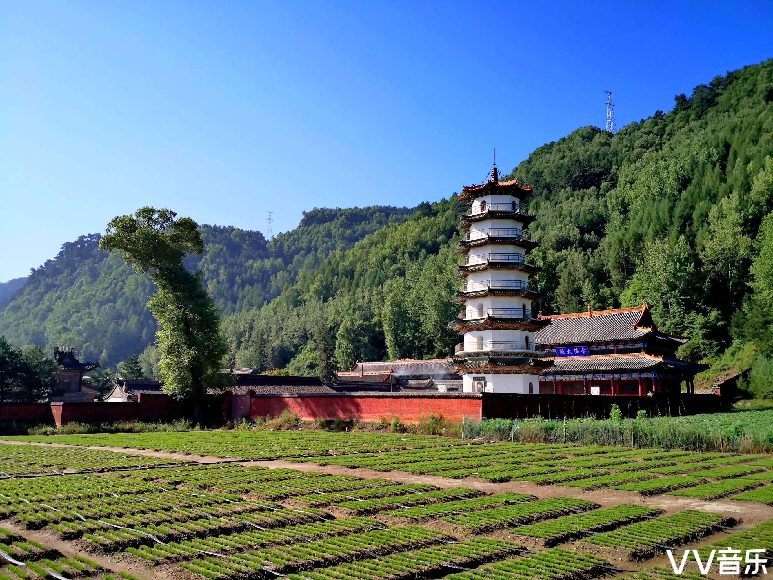 田阳古佛寺图片