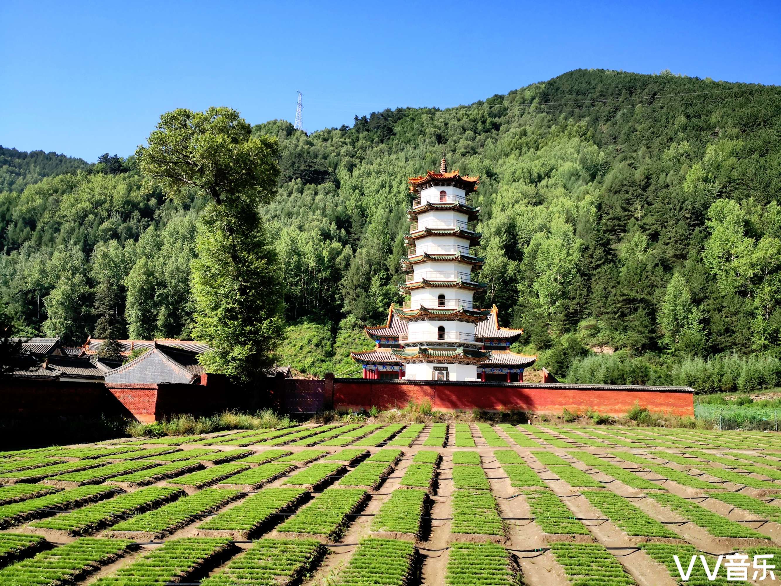 五台山古佛禅寺图片