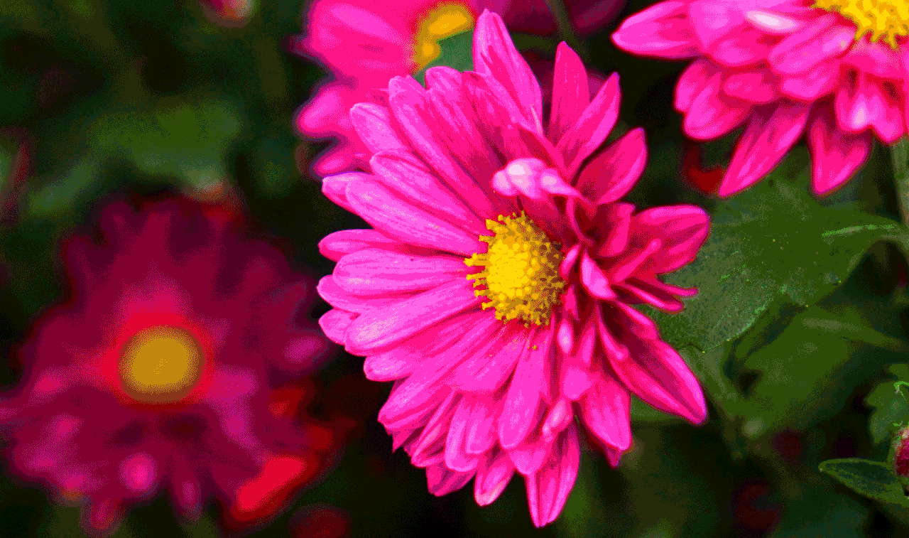 中元节手捧菊花祭奠先烈和亲人原创诗词君子