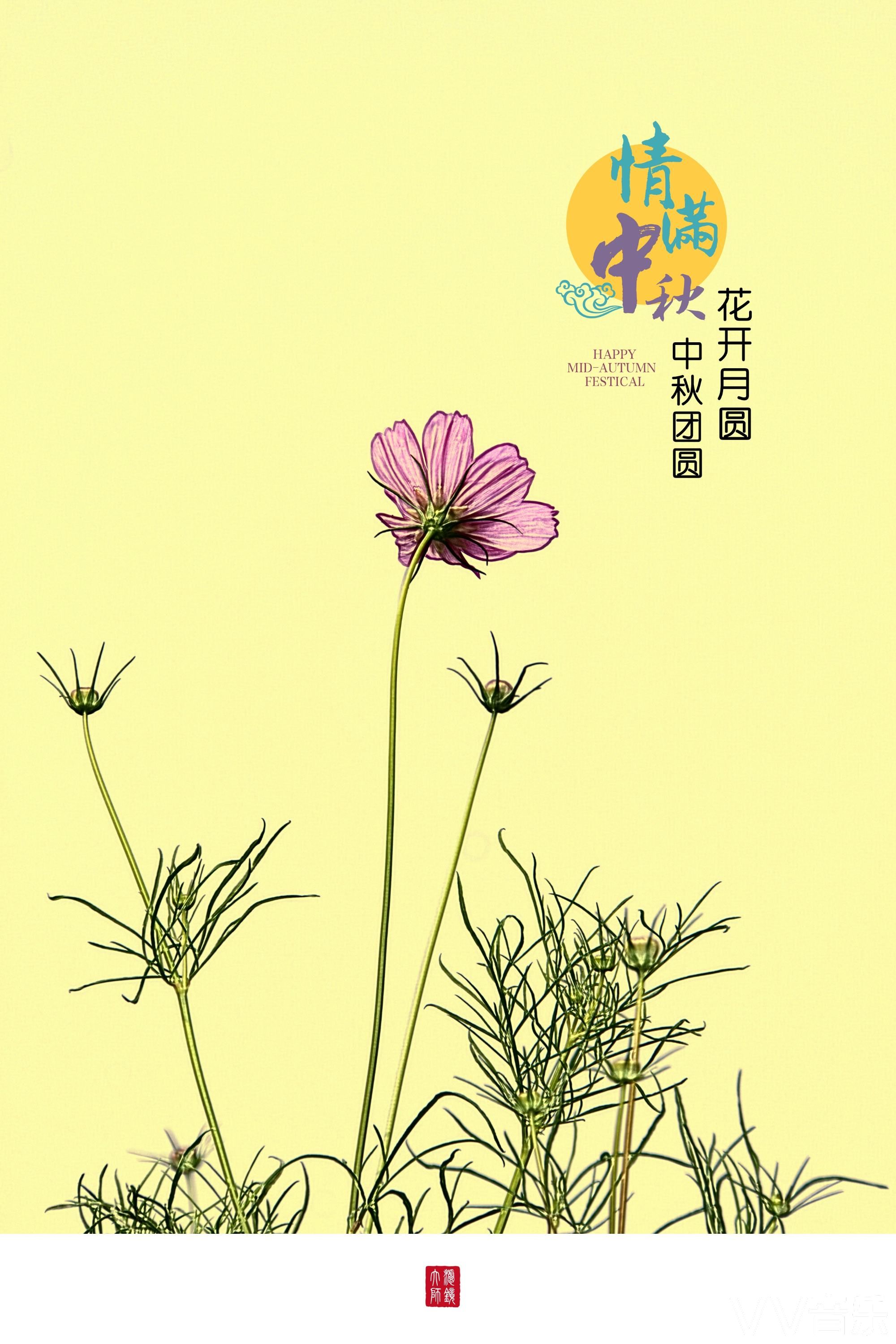 情满中秋花开月圆