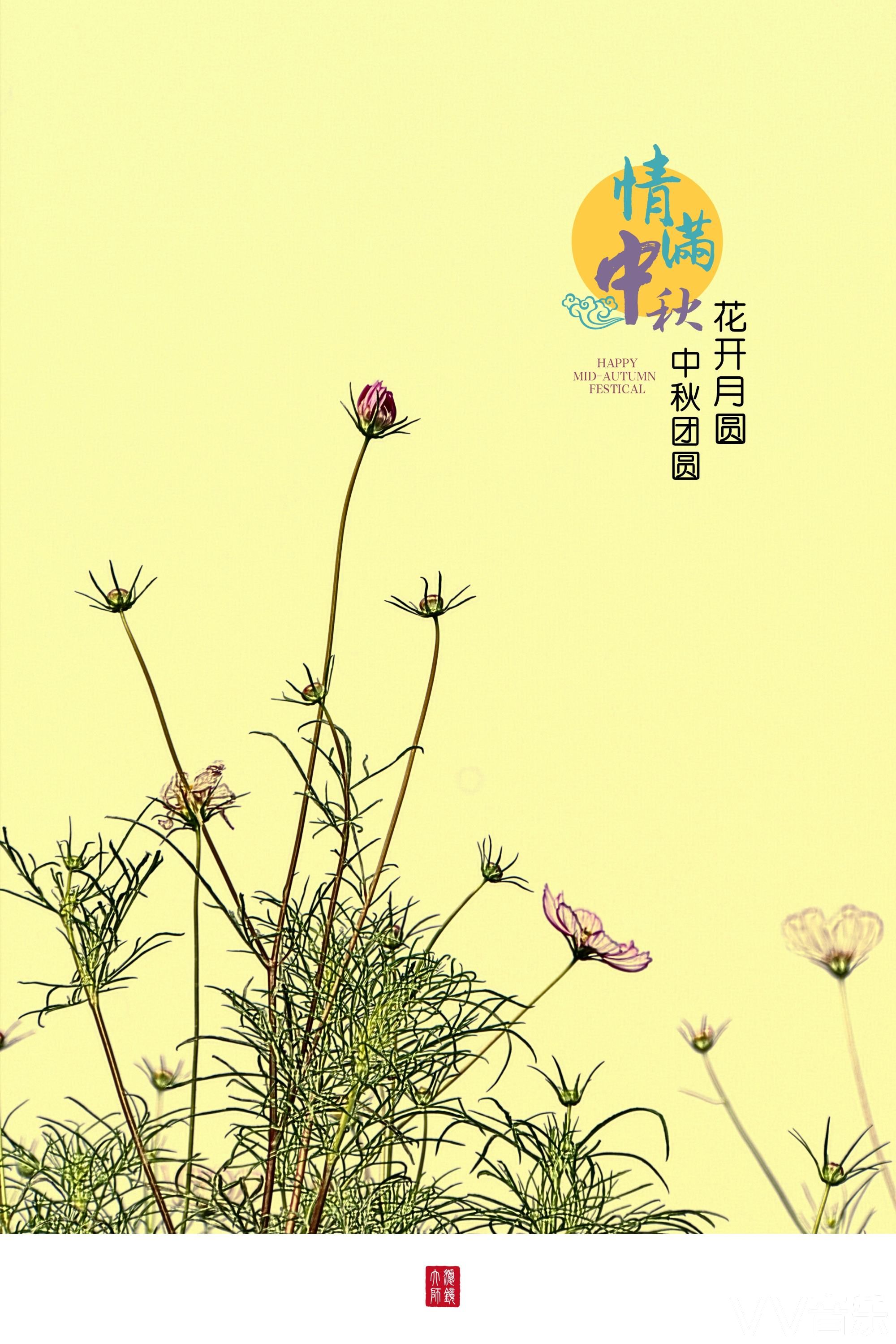 情满中秋花开月圆