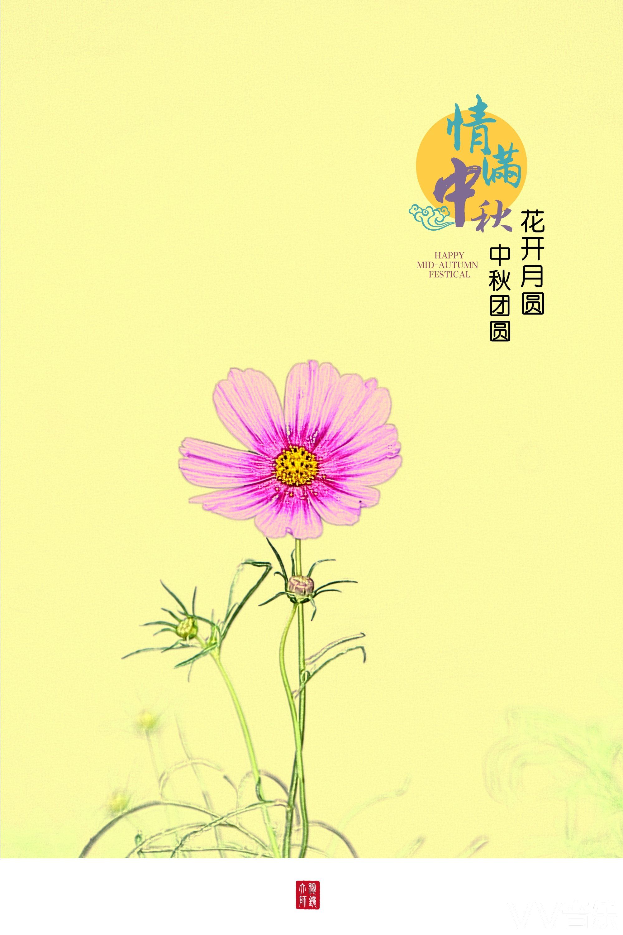 情满中秋花开月圆