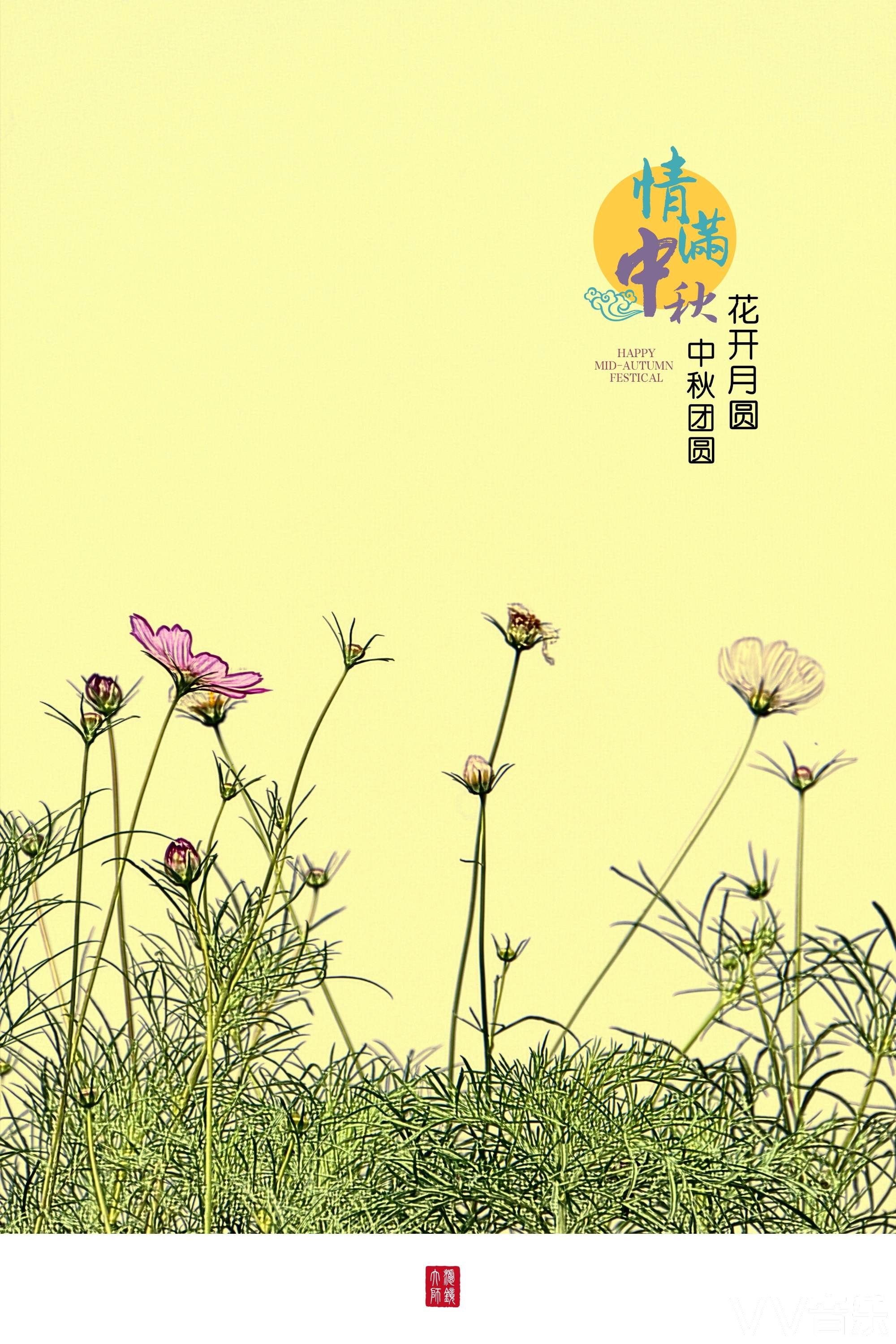 情满中秋花开月圆