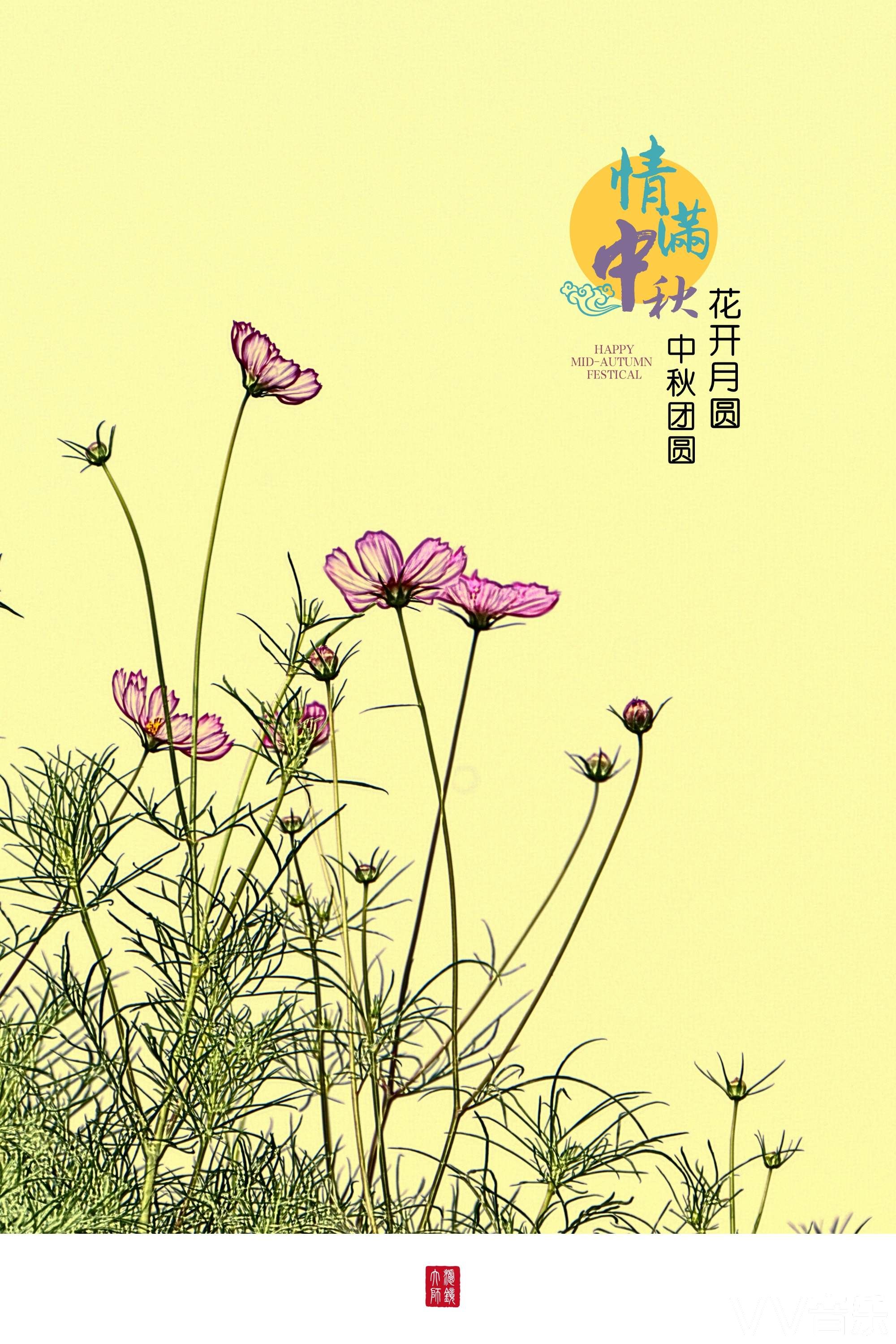 情满中秋花开月圆