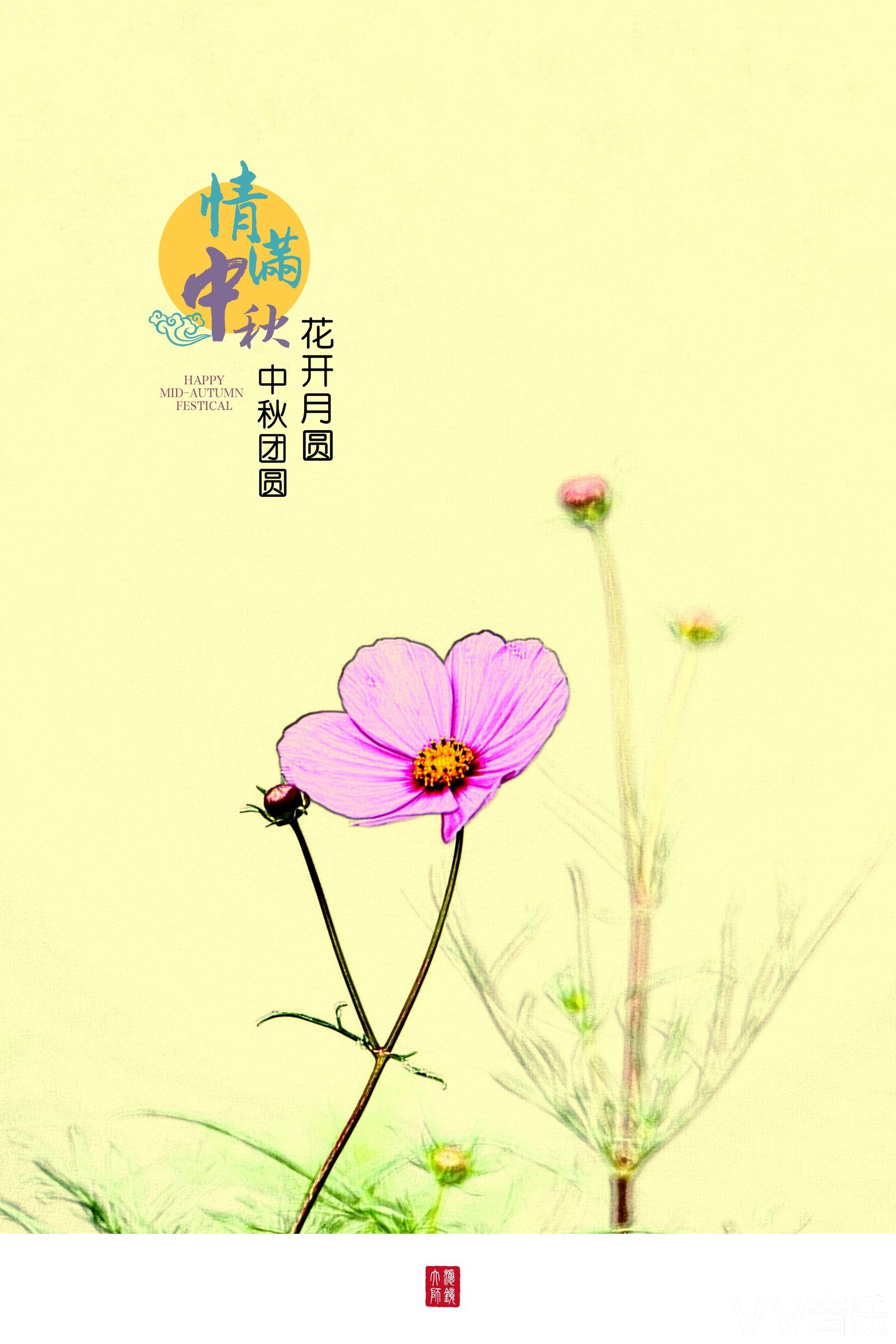 情满中秋花开月圆