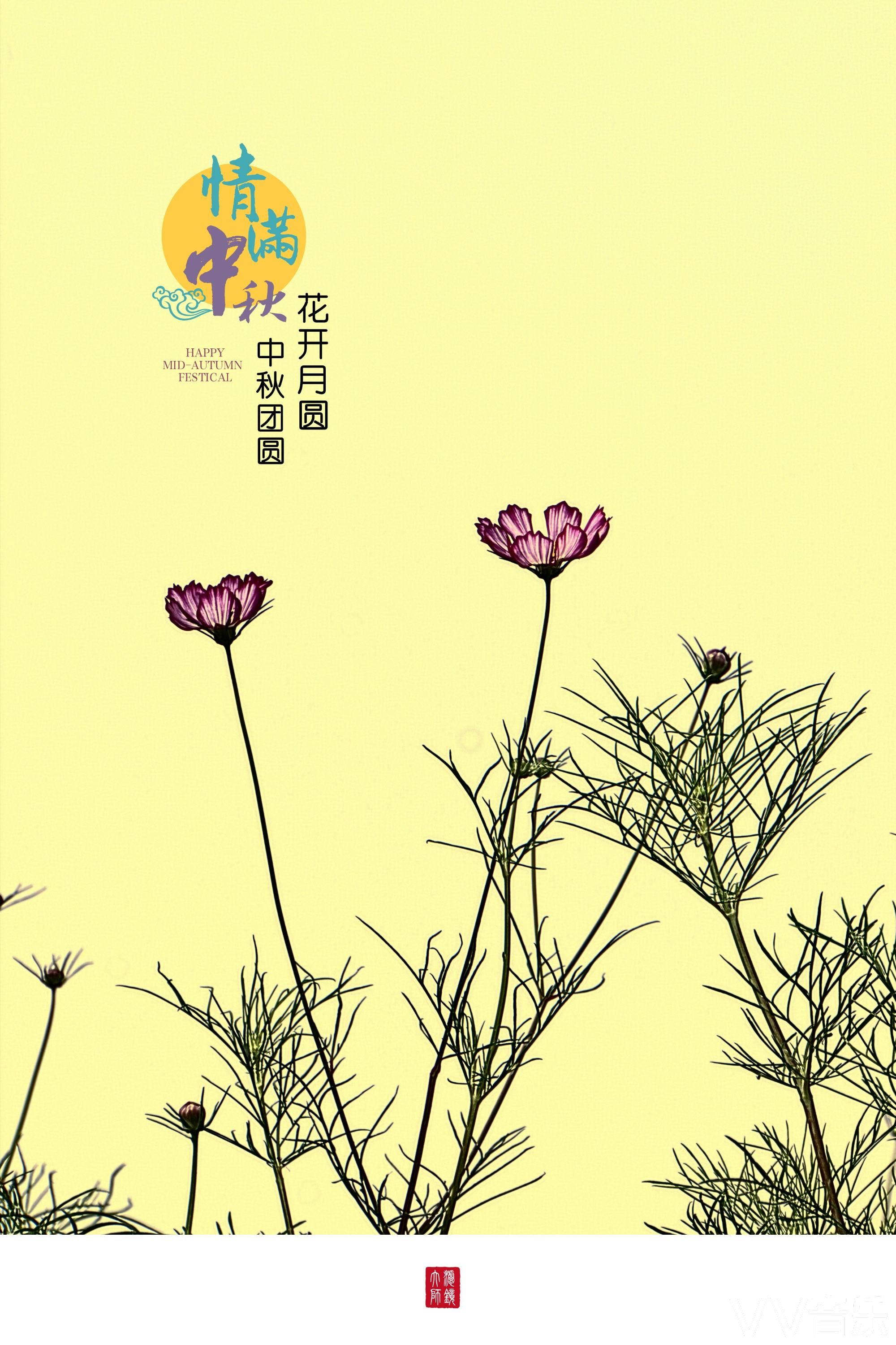 情满中秋花开月圆