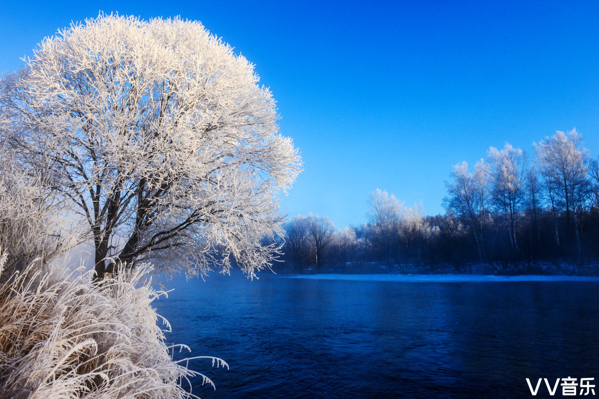 银装素裹雾凇美