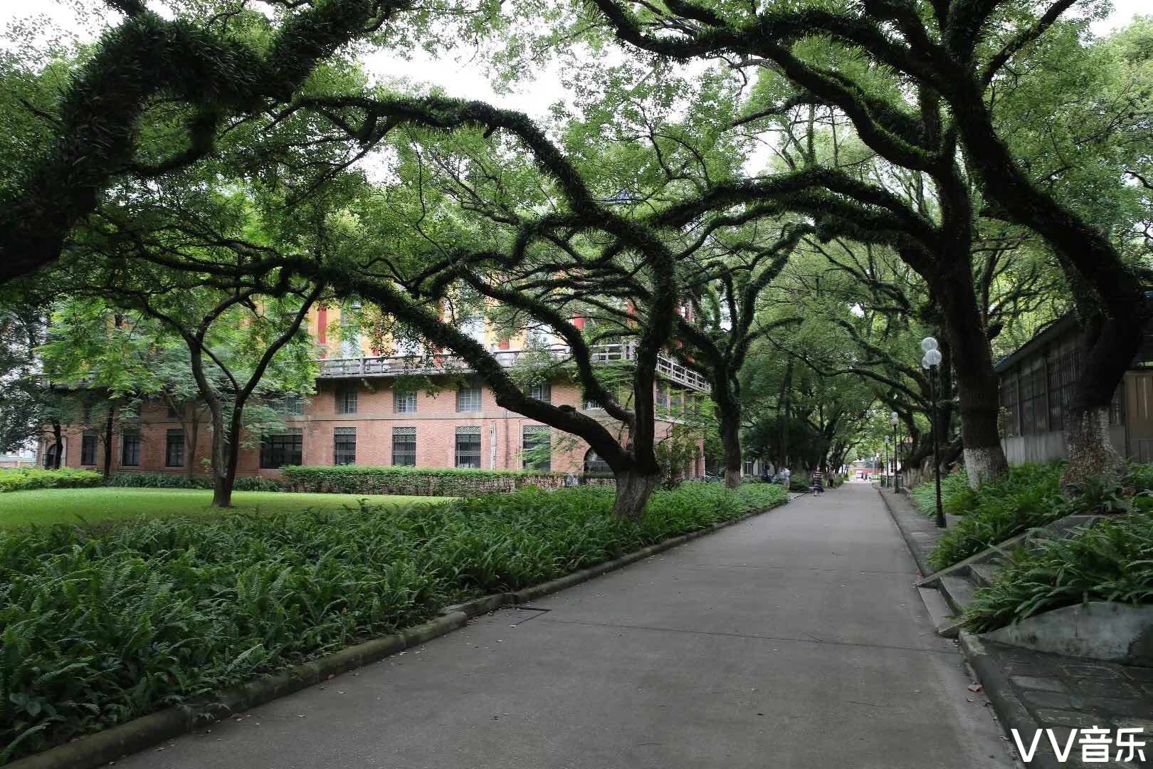 中山大学岭南学院