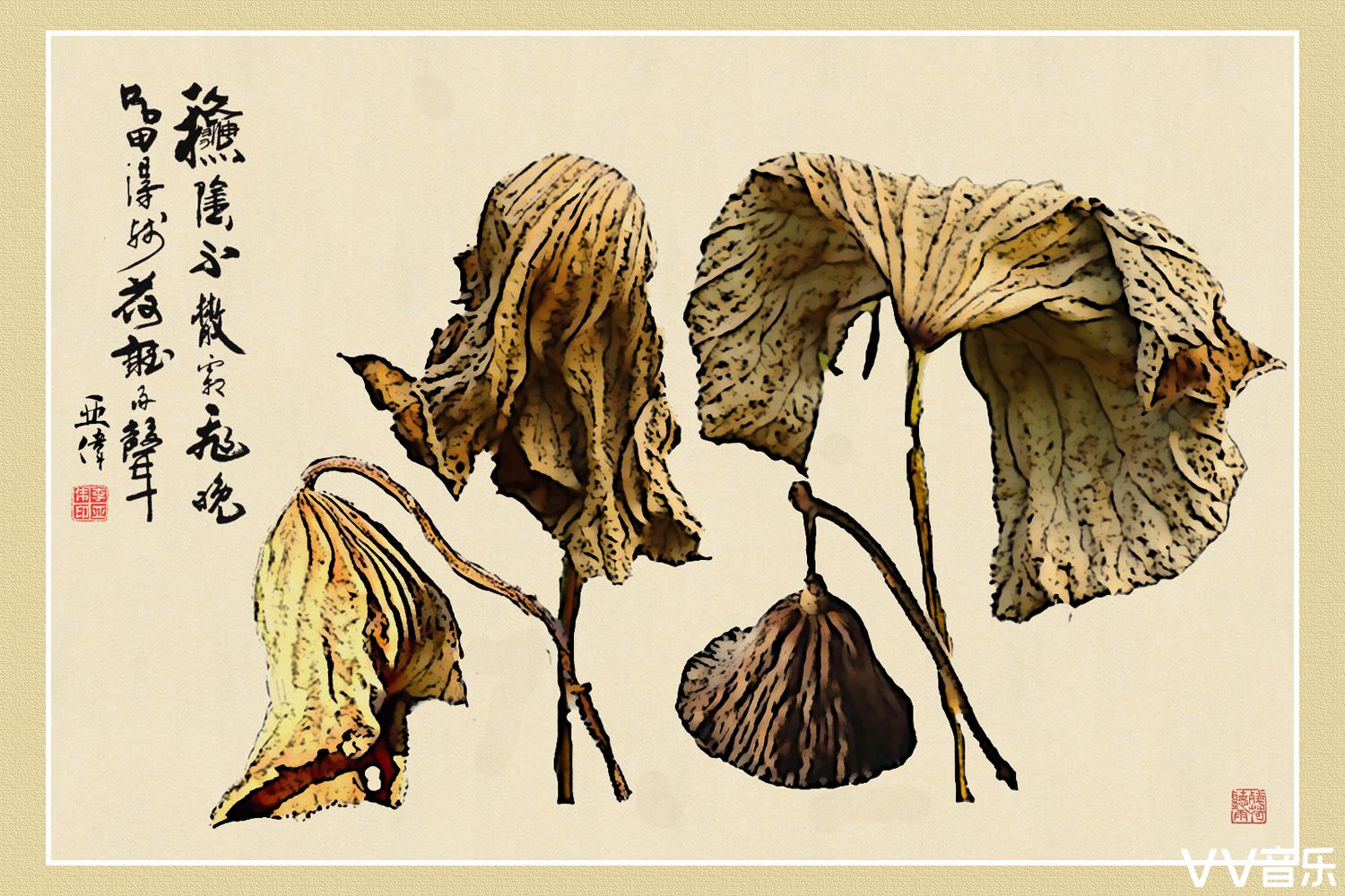 画意摄影残荷风骨