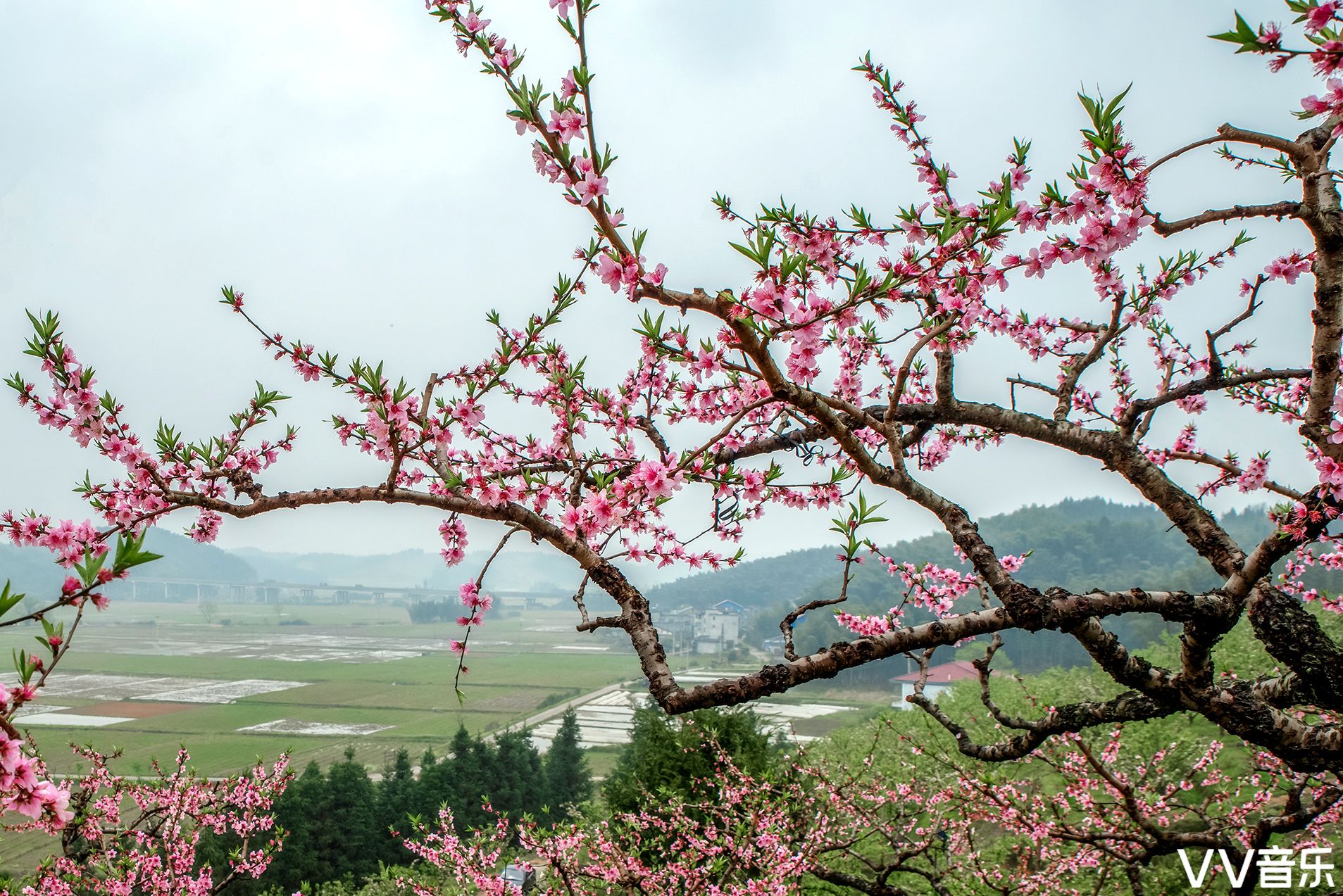 何旭东 辽宁鞍山&