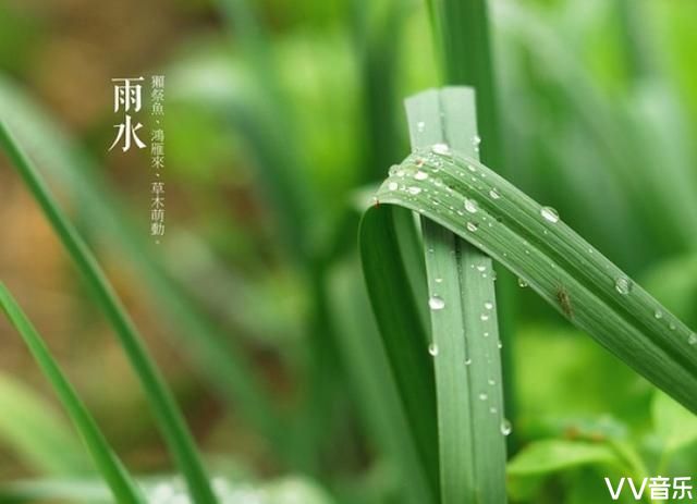 丝雨贵，渐暖水€