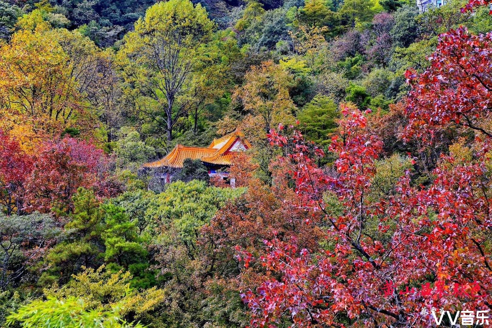 黄山观瀑楼图片