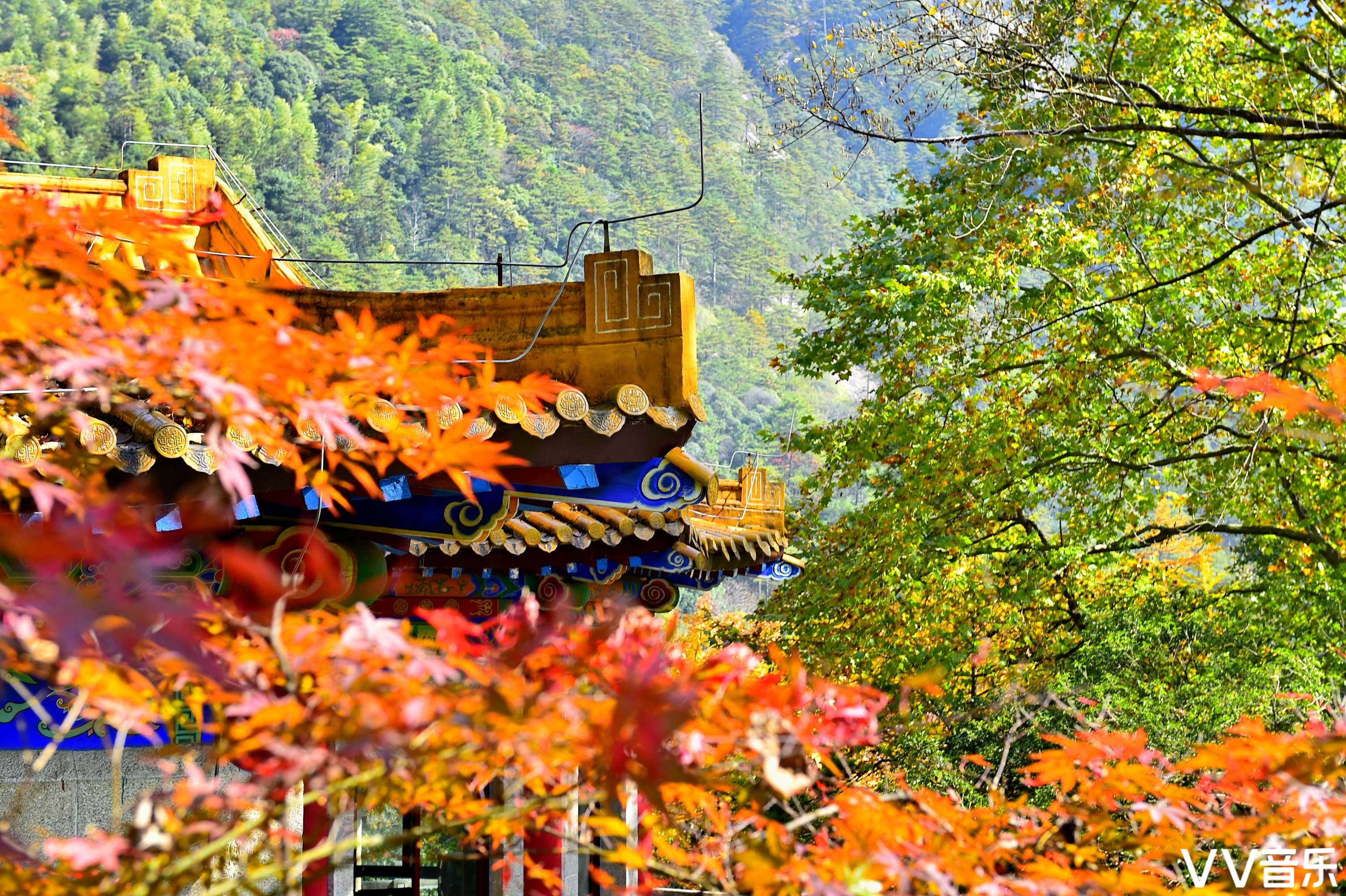 黄山观瀑楼图片