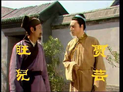 87版电视剧《红楼梦》中的贾芸