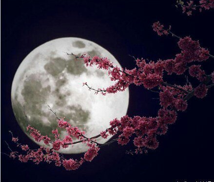 清风明月唯美图片