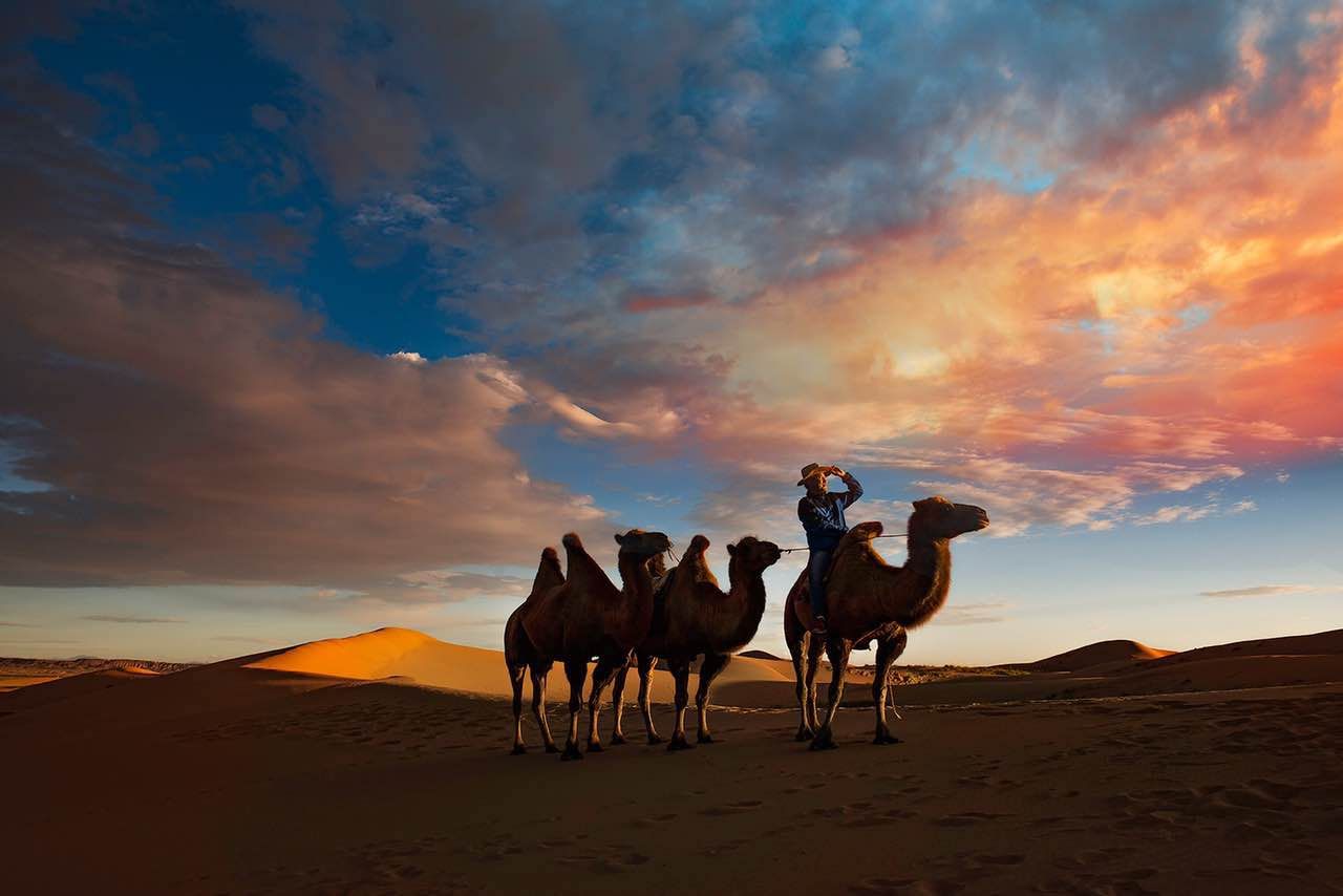 凌风傲沙朗诵《我是沙漠的旅者》作者松间明月