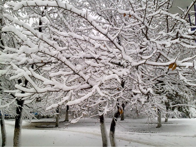 烟霏霏 雪霏霏图片