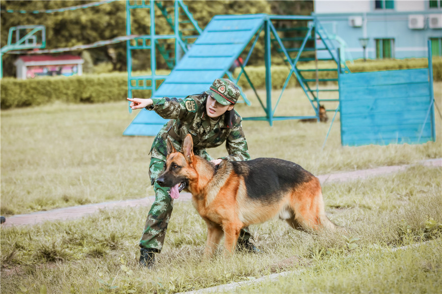 艾勒薇斯现状图片