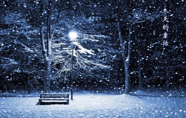 冬天,雪花 飘飘