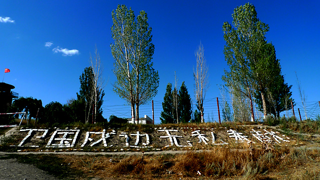 小白杨昆仑山图片图片