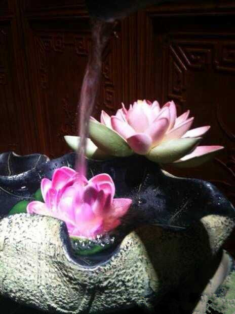 《佛前的那朵莲》作者:微风悠然朗诵:竹林夕雨