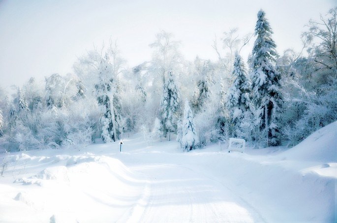 银白世界的遐想