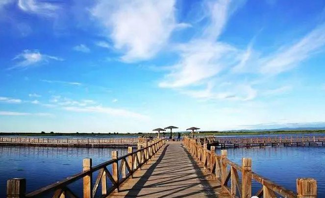 我的家乡千鸟湖湿地