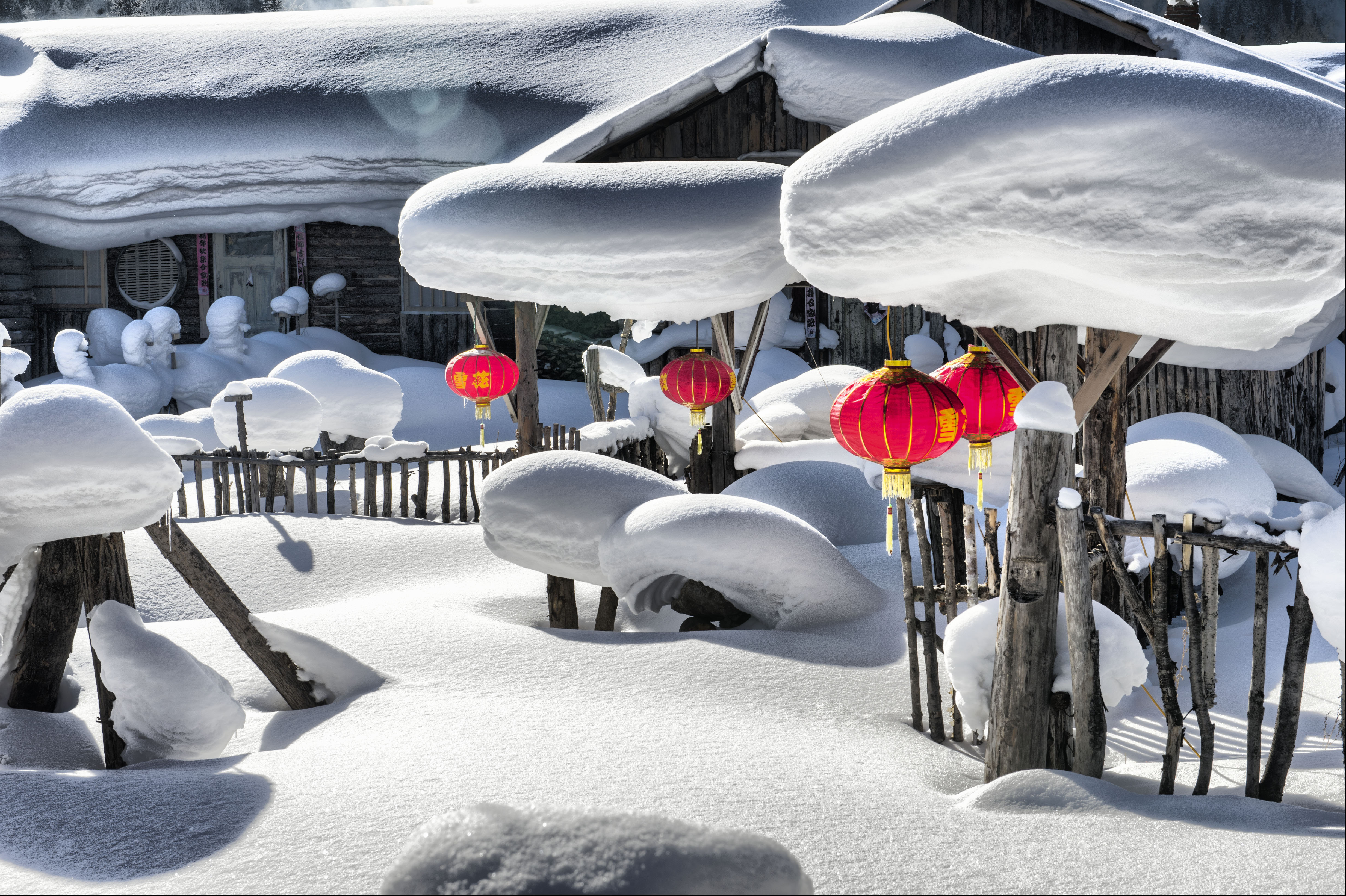 齐齐哈尔雪景图片图片