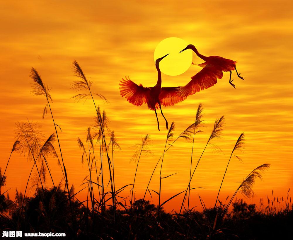 约会春天---晚霞恋歌