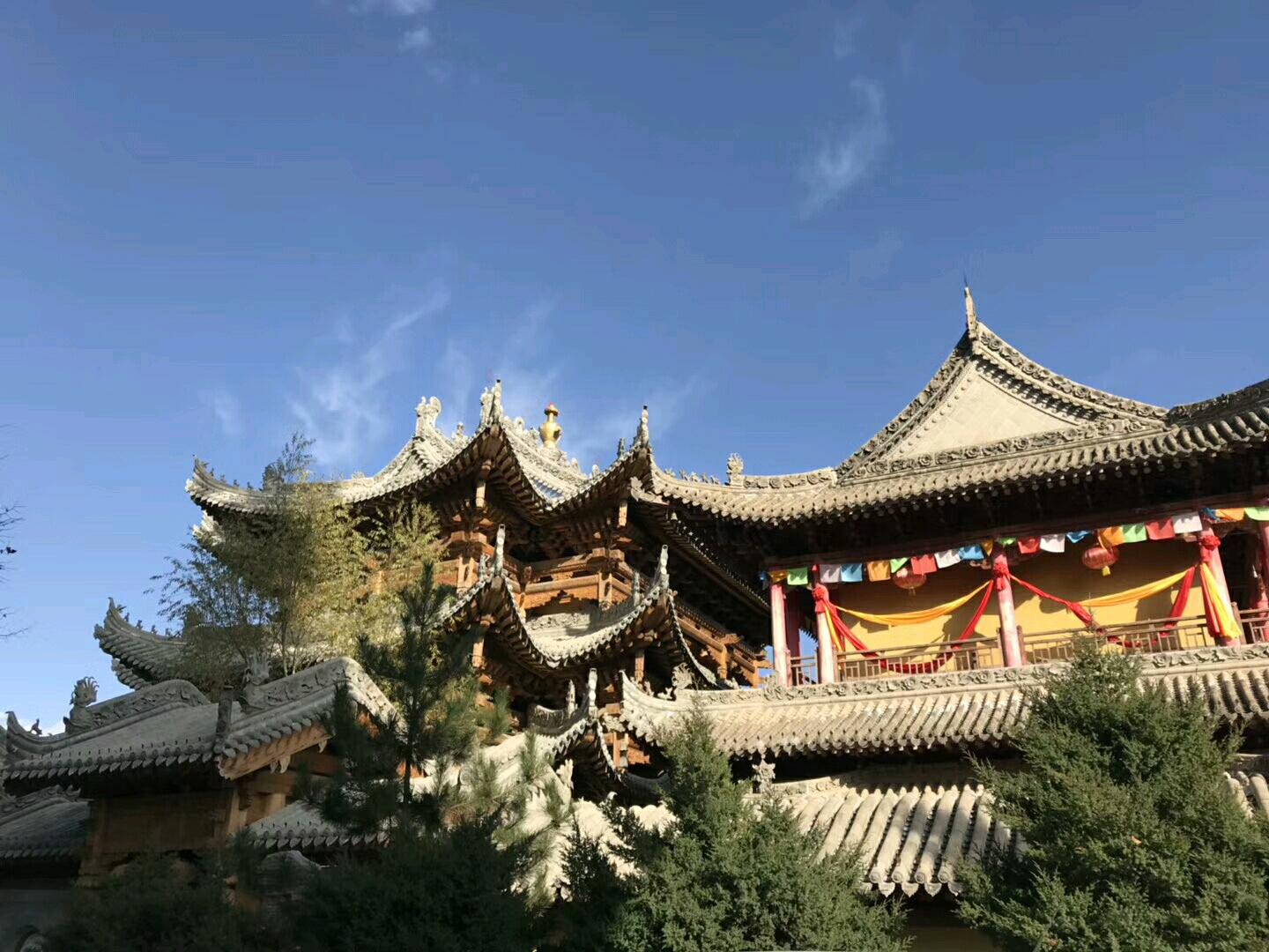 菩提树下等千年,只是为见你一面