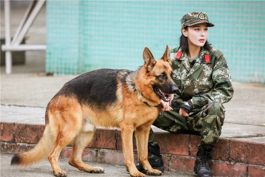 艾勒薇斯现状图片