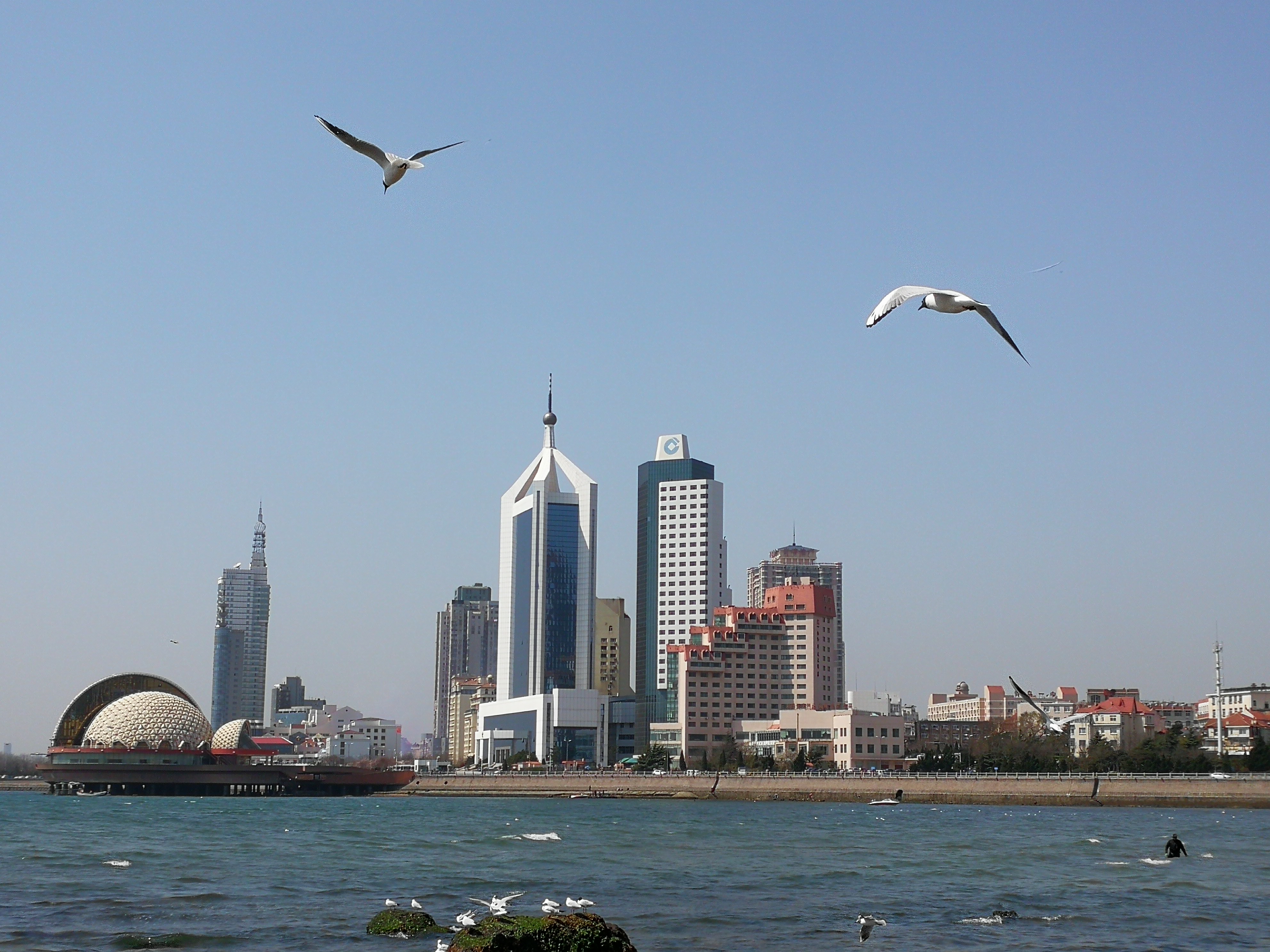 《约会春天》美丽青岛——我的家(栈桥鸥翔)