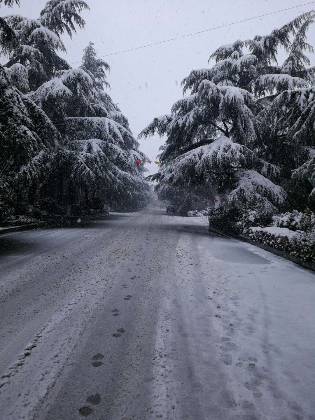 宜兴今天下雪了