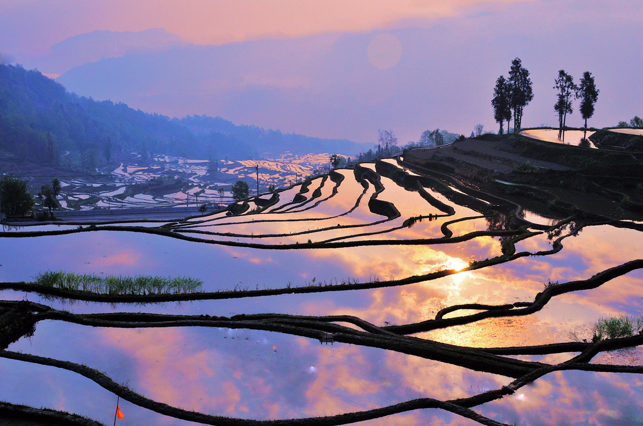 春之畅想_梯田神韵